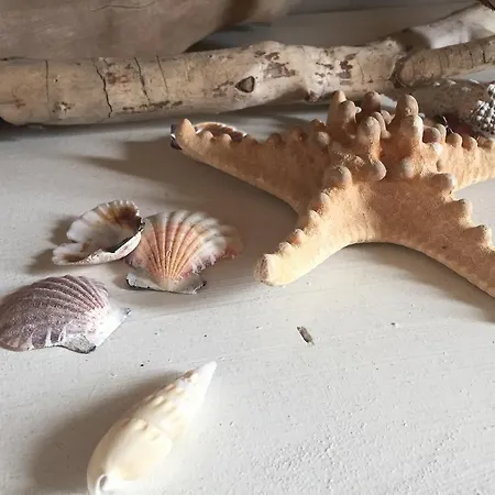 Sirena Διαμέρισμα *